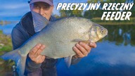 PRECYZYJNY RZECZNY FEEDER