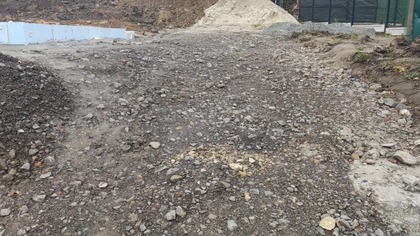 #348 Przestój na budowie więc zajmę się żywopłotem z pęcherznicy...