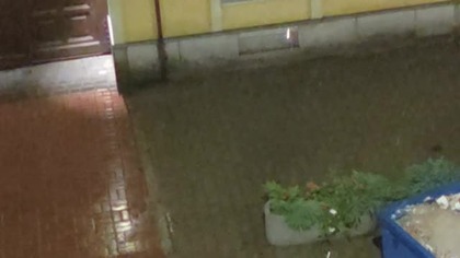 Rainy Night