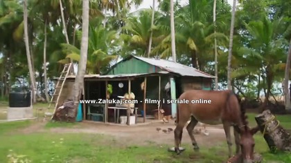 Slepnac. od. swiatel. S01E07.pl. 720p. WEBRip. x264-KiT. mp4 - VOE Content Delivery Network (CDN) & Video Cloud