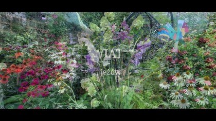 W Garden kuRaż * Rozbiórka klatki dla królików * 10.  11.  2025