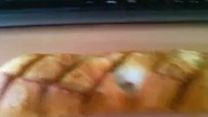 gimbusy wszędzie gimbusy