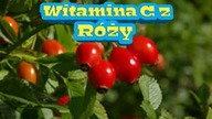 252. Jak Zrobić Witaminy C Z R&oacute;ży  (Proszek) ?