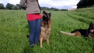 BRUNO Wilcze Gniazdo&LUCYNKA Wolf Gang