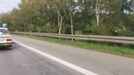 Fiat 125p Milicja