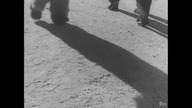 Biały Niedźwiedź (1959)