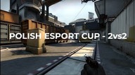 Pierwszy zwycięzca POLISH ESPORT CUP 2020!