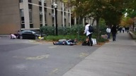 Zombie na ulicach Toronto