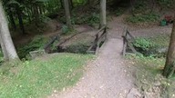Porozmawiajmy o grzybach