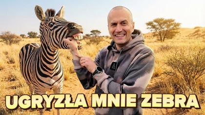 Ugryzła Mnie Zebra! | Pal Hajs TV
