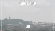 Chełm: Leśnicy rozdają drzewka
