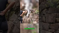 Huayna Picchu Podbój Inkaskiej Twierdzy!