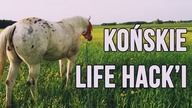 Jeździeckie LIFE HACKI (wersja odświeżona)