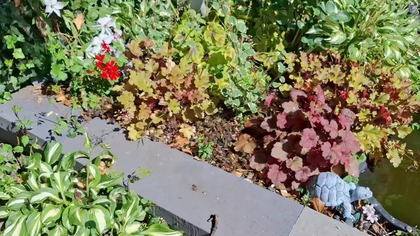 W Garden kuRaż * Spacer po ogrodzie * 22.  06.  2025