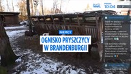 Euronews Polska - Fragment emisji (15. 01. 2025) 