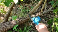 VIOLEWORKS 8-calowa Mini Piła Łańcuchowa TEST