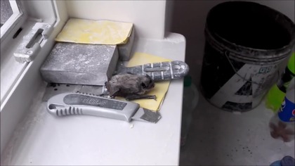 Ciekawski nietoperz gotów do ataku lub pracy  - Bat Attack in work