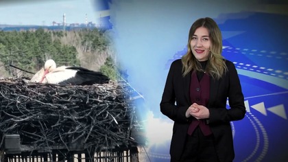 Jaworexpress 08. 04. 2025 - Wiadomości telewizyjne