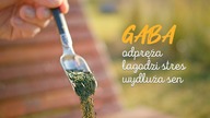 Herbata GABA łagodzi stres i poprawia sen | Czajnikowy.pl