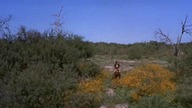 Bandolero! (1968)