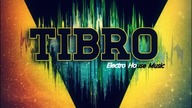Tulisa ft Chris Brown ft Benny Benassi(TIBRO® rmx)