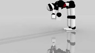 ToriBash : Parkour