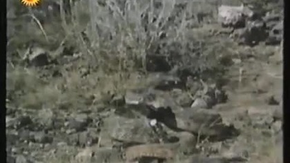 Dziki Dziki Zachód - 1980 - Western Lektor pl