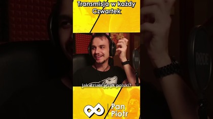 Jak działają zaimki?