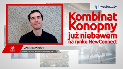 Skarpetki, CBD i miliony  historia Kombinatu Konopnego