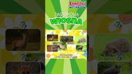 Które zwierzęta budzą się ze snu zimowego?  Zagadkowa wiosna 