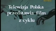 Religie i kościoły w Polsce Świadkowie Jehowy
