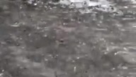 Rosja - tu lepiej nie jeździć bez biletu