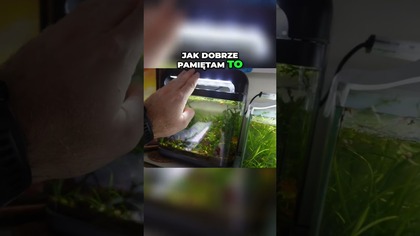 Zbiorniki bez filtracji i bez podmian wody.