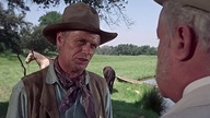 Śmierć rewolwerowca.  Death of a Gunfighter . 1969.  Lektor.pl. western