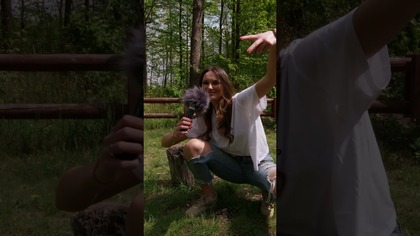 Jak się nazywa Lis który robi bałagan?