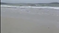 Enya On your shore
