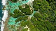 Planeta Ziemia S02E01 ENG
