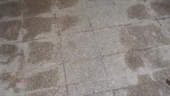 problem Polaków ...  alkoholizm 2026...  ciągnie się przez pokolenia...
