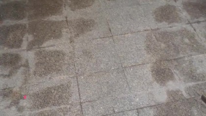 problem Polaków ...  alkoholizm 2026...  ciągnie się przez pokolenia...
