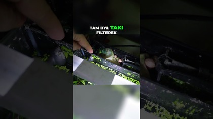 Padła filtracja?  Sprytny sposób na krewetkarium!