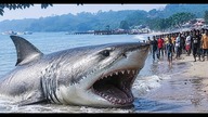 Filmowali Ocean, Kiedy Wydarzyło Się Coś Niemożliwego