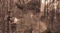 slender