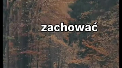 nie gardź...