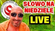 Jem wędzoną makrelę w sosie pomidorowym