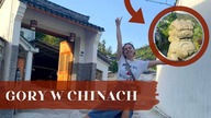 WILLA W CHINSKICH GÓRACH | OCEANARIUM