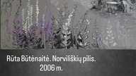 Rūta Butėaitė.  Norviliškių pilis.  Dieveniškių apyl.  Zamek w Narwiliszkach.  Gmina Dziewieniszki L