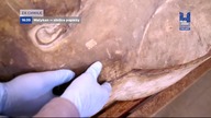 POLSATVIASATHISTORY - 02-12-2024 - Reklamy, Zapowiedzi, Ident