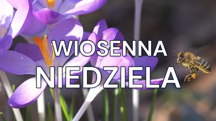 Wiosenna niedziela  Piękne życzenia dla Ciebie na niedzielny poranek