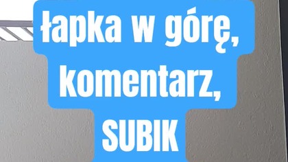 Sprawdzamy poparcie dla Brauna