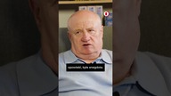 Jak powstał Gustaw? Maciej Siembieda zdradza kulisy noweli #shorts